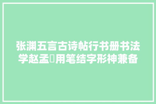 张渊五言古诗帖行书册书法学赵孟頫用笔结字形神兼备