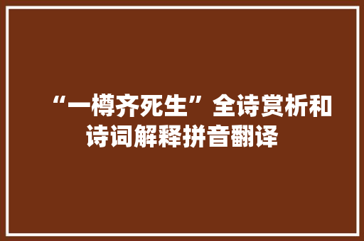 “一樽齐死生”全诗赏析和诗词解释拼音翻译