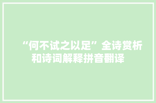 “何不试之以足”全诗赏析和诗词解释拼音翻译