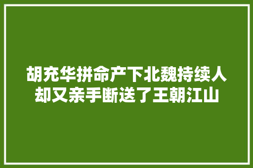 胡充华拼命产下北魏持续人却又亲手断送了王朝江山