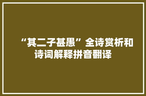 “其二子甚愚”全诗赏析和诗词解释拼音翻译