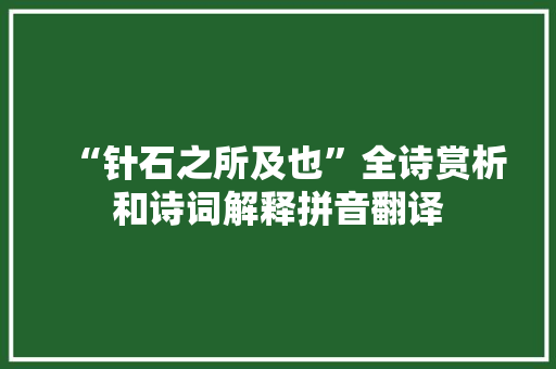 “针石之所及也”全诗赏析和诗词解释拼音翻译
