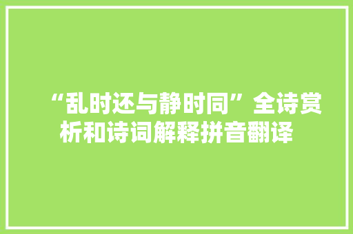 “乱时还与静时同”全诗赏析和诗词解释拼音翻译