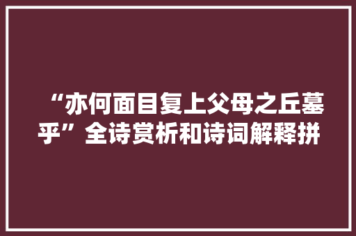“亦何面目复上父母之丘墓乎”全诗赏析和诗词解释拼音翻译