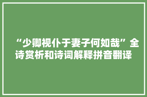 “少卿视仆于妻子何如哉”全诗赏析和诗词解释拼音翻译 “少卿视仆于妻子何如哉”全诗赏析和诗词解释拼音翻译