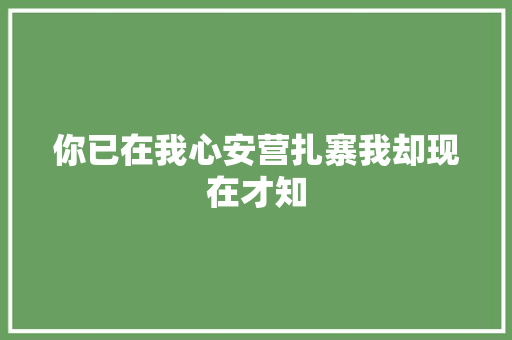 你已在我心安营扎寨我却现在才知