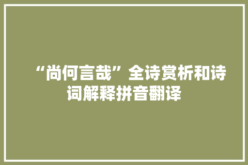“尚何言哉”全诗赏析和诗词解释拼音翻译