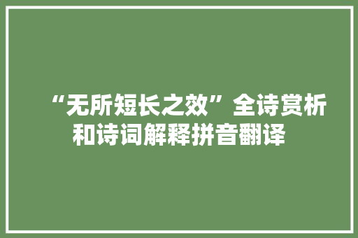 “无所短长之效”全诗赏析和诗词解释拼音翻译