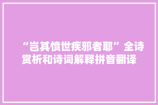 “岂其愤世疾邪者耶”全诗赏析和诗词解释拼音翻译