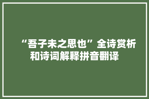 “吾子未之思也”全诗赏析和诗词解释拼音翻译