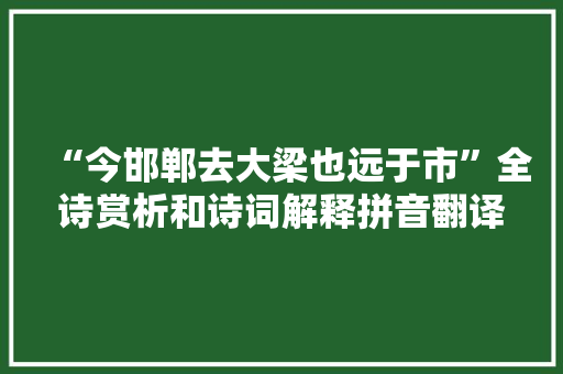 “今邯郸去大梁也远于市”全诗赏析和诗词解释拼音翻译