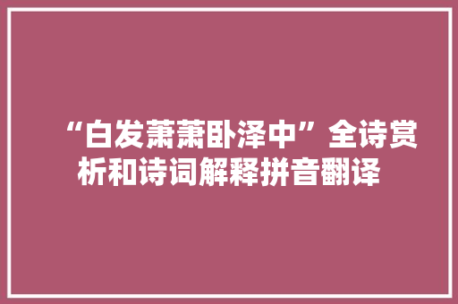 “白发萧萧卧泽中”全诗赏析和诗词解释拼音翻译