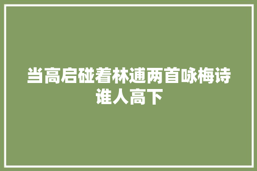 当高启碰着林逋两首咏梅诗谁人高下