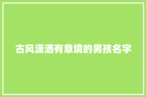 古风潇洒有意境的男孩名字