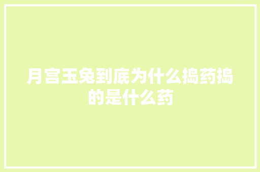 月宫玉兔到底为什么捣药捣的是什么药