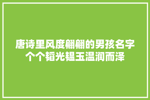 唐诗里风度翩翩的男孩名字个个韬光韫玉温润而泽