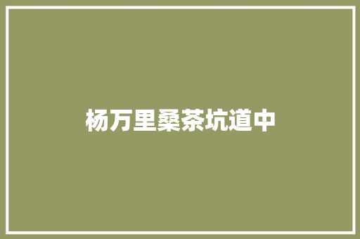 杨万里桑茶坑道中