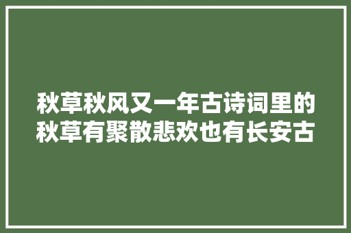 秋草秋风又一年古诗词里的秋草有聚散悲欢也有长安古道