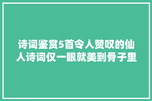 诗词鉴赏5首令人赞叹的仙人诗词仅一眼就美到骨子里