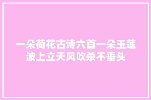 一朵荷花古诗六首一朵玉莲波上立天风吹杀不垂头