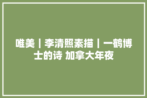 唯美｜李清照素描｜一鹤博士的诗 加拿大年夜