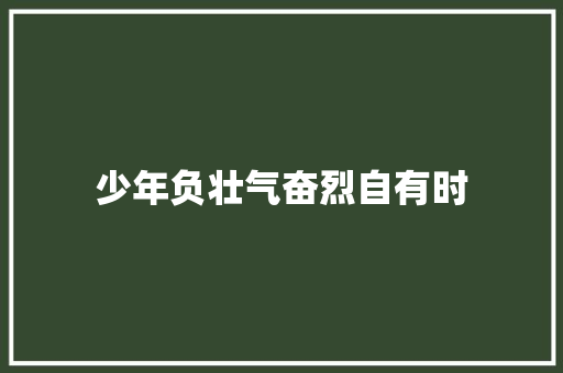 少年负壮气奋烈自有时