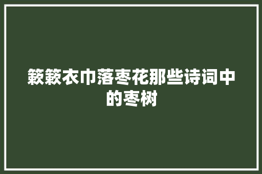 簌簌衣巾落枣花那些诗词中的枣树