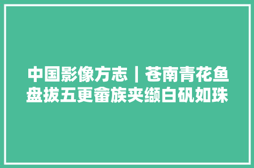 中国影像方志｜苍南青花鱼盘拔五更畲族夹缬白矾如珠
