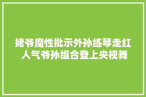 姥爷魔性批示外孙练琴走红 人气爷孙组合登上央视舞台