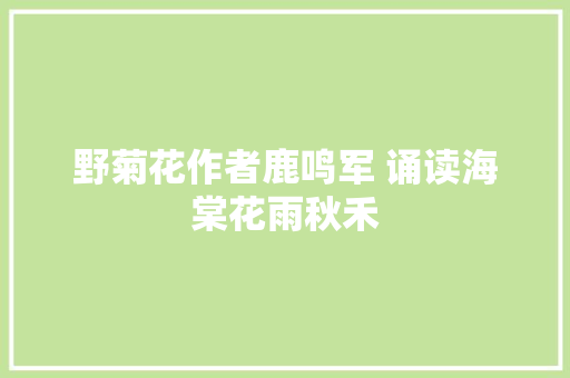 野菊花作者鹿鸣军 诵读海棠花雨秋禾