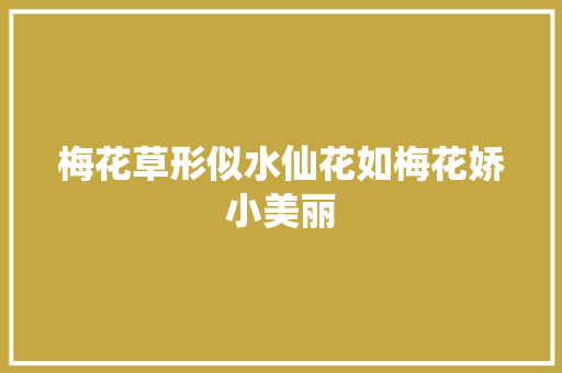 梅花草形似水仙花如梅花娇小美丽