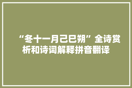 “冬十一月己巳朔”全诗赏析和诗词解释拼音翻译