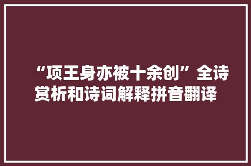 “项王身亦被十余创”全诗赏析和诗词解释拼音翻译
