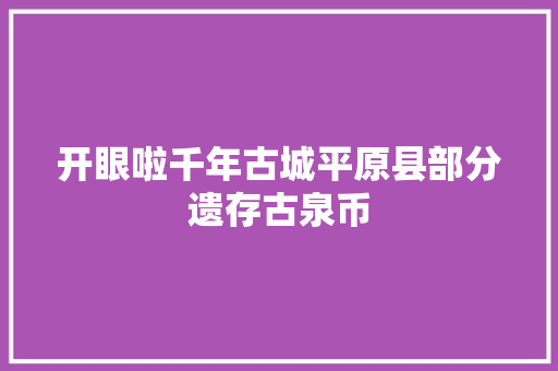 开眼啦千年古城平原县部分遗存古泉币