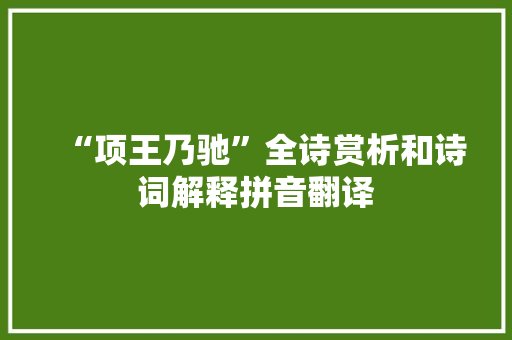 “项王乃驰”全诗赏析和诗词解释拼音翻译