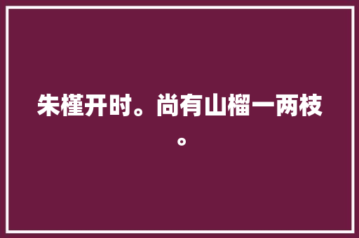 朱槿开时。尚有山榴一两枝。