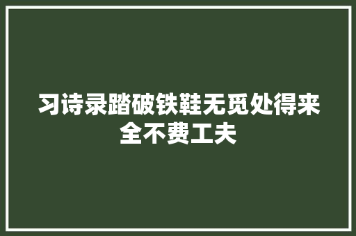 习诗录踏破铁鞋无觅处得来全不费工夫