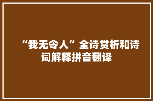 “我无令人”全诗赏析和诗词解释拼音翻译
