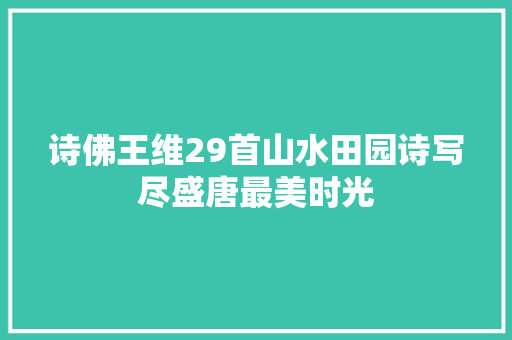 诗佛王维29首山水田园诗写尽盛唐最美时光