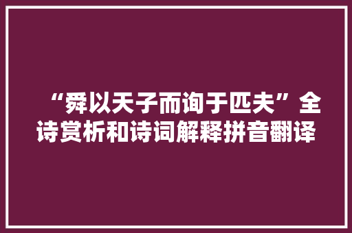 “舜以天子而询于匹夫”全诗赏析和诗词解释拼音翻译