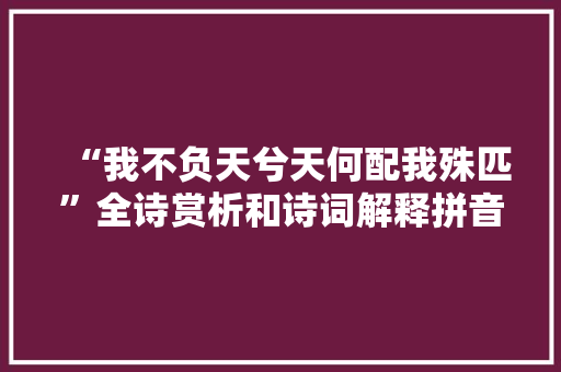 “我不负天兮天何配我殊匹”全诗赏析和诗词解释拼音翻译