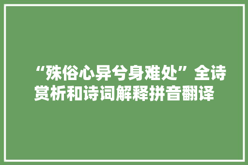 “殊俗心异兮身难处”全诗赏析和诗词解释拼音翻译