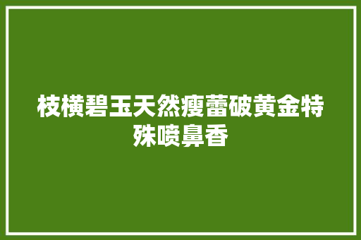 枝横碧玉天然瘦蕾破黄金特殊喷鼻香