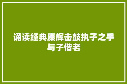 诵读经典康辉击鼓执子之手与子偕老