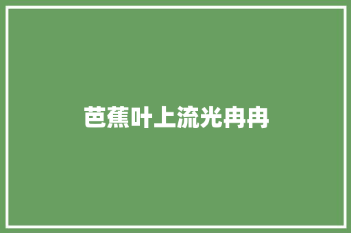 芭蕉叶上流光冉冉