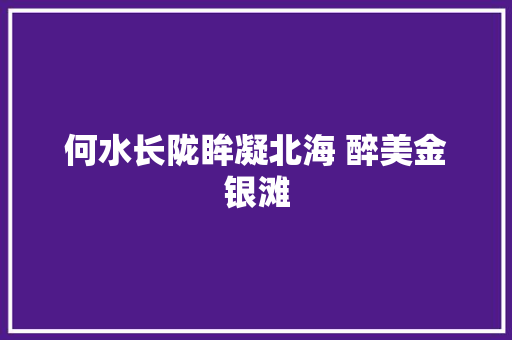 何水长陇眸凝北海 醉美金银滩