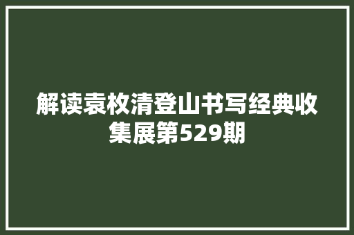 解读袁枚清登山书写经典收集展第529期