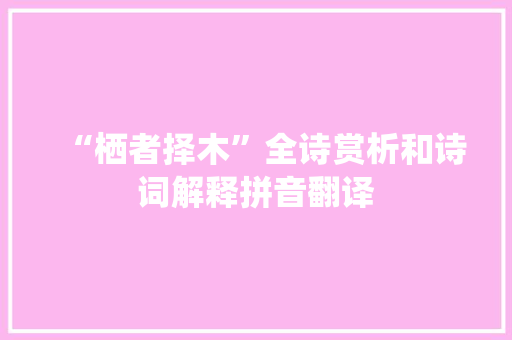 “栖者择木”全诗赏析和诗词解释拼音翻译