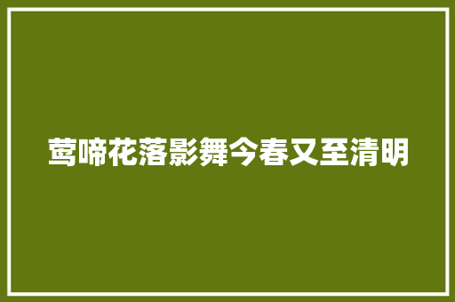 莺啼花落影舞今春又至清明
