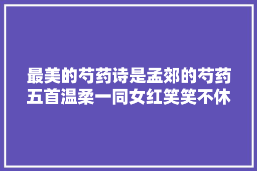最美的芍药诗是孟郊的芍药五首温柔一同女红笑笑不休